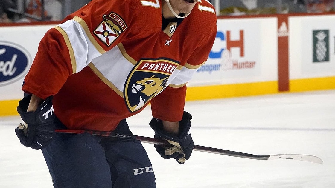 Florida panthers marchment