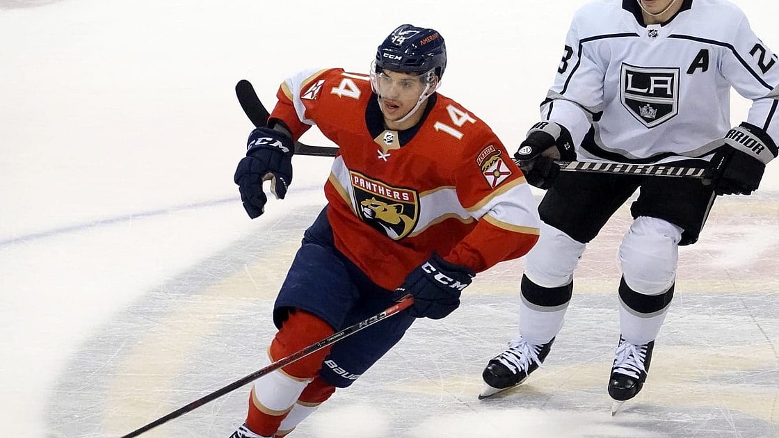 Florida Panthers Denisenko