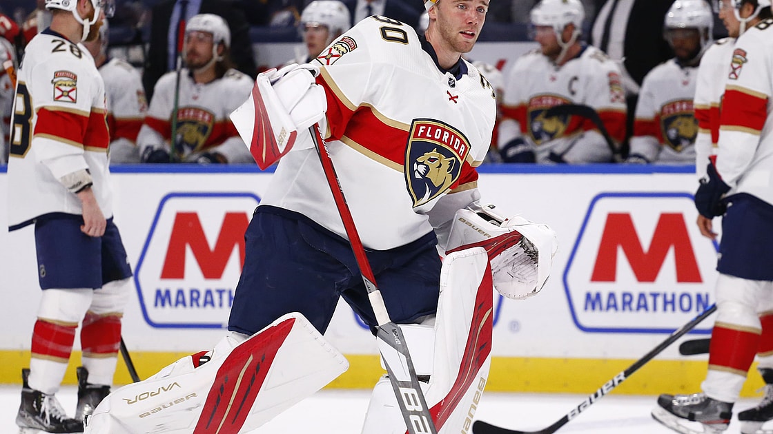 Florida panthers
