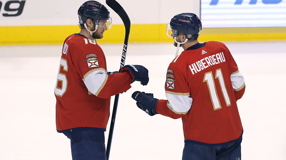 Florida panthers