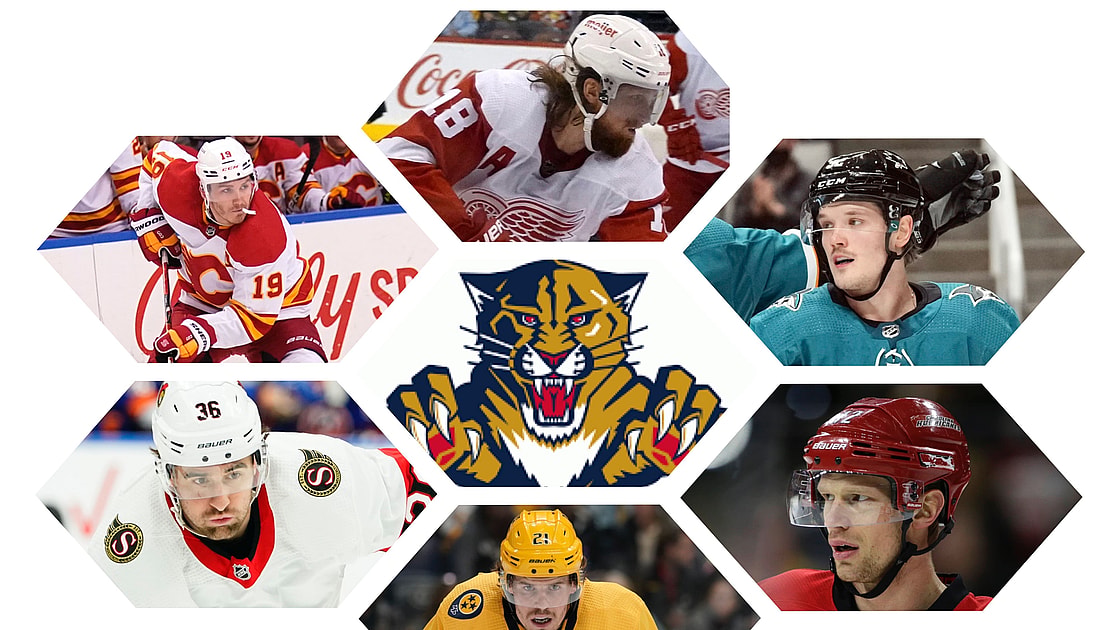 Florida panthers