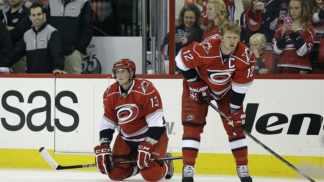 Florida panthers staal