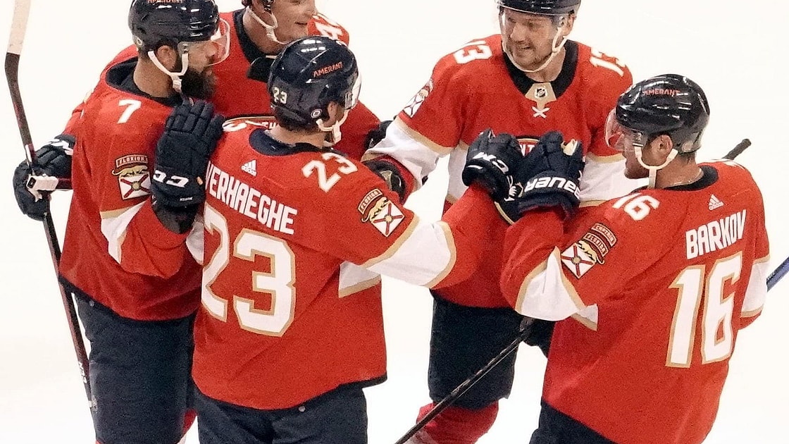 Florida panthers
