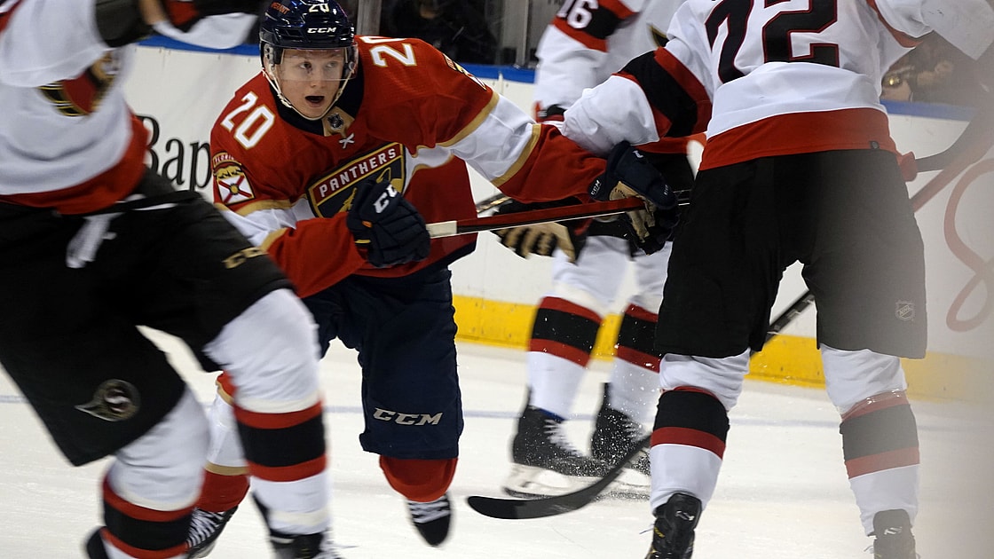 Florida panthers heponiemi