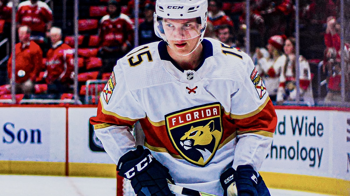 Florida panthers