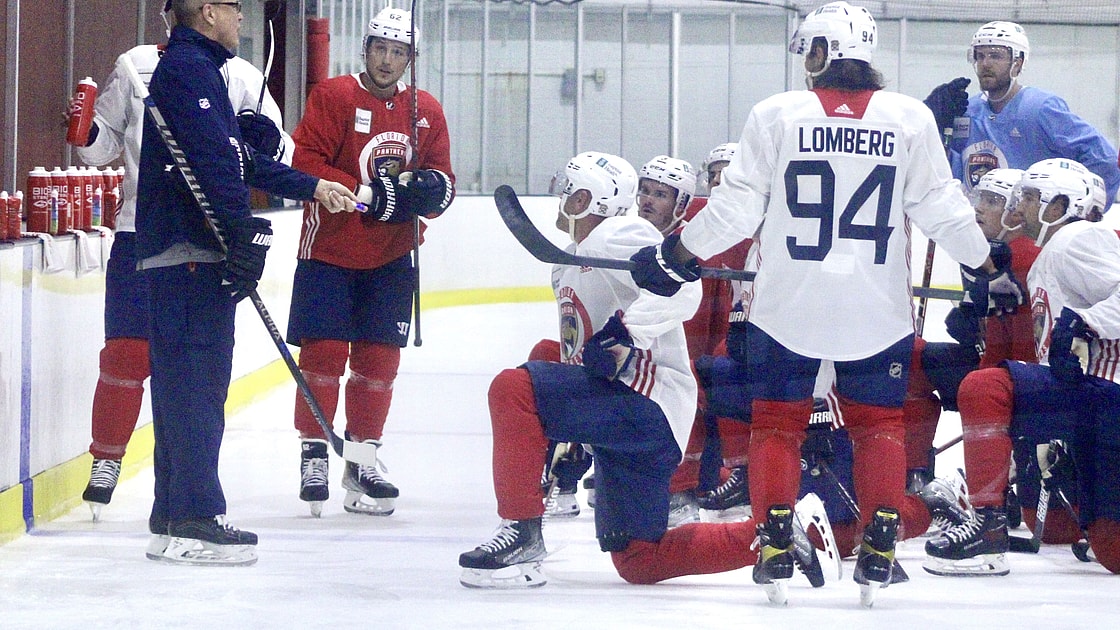 Florida panthers