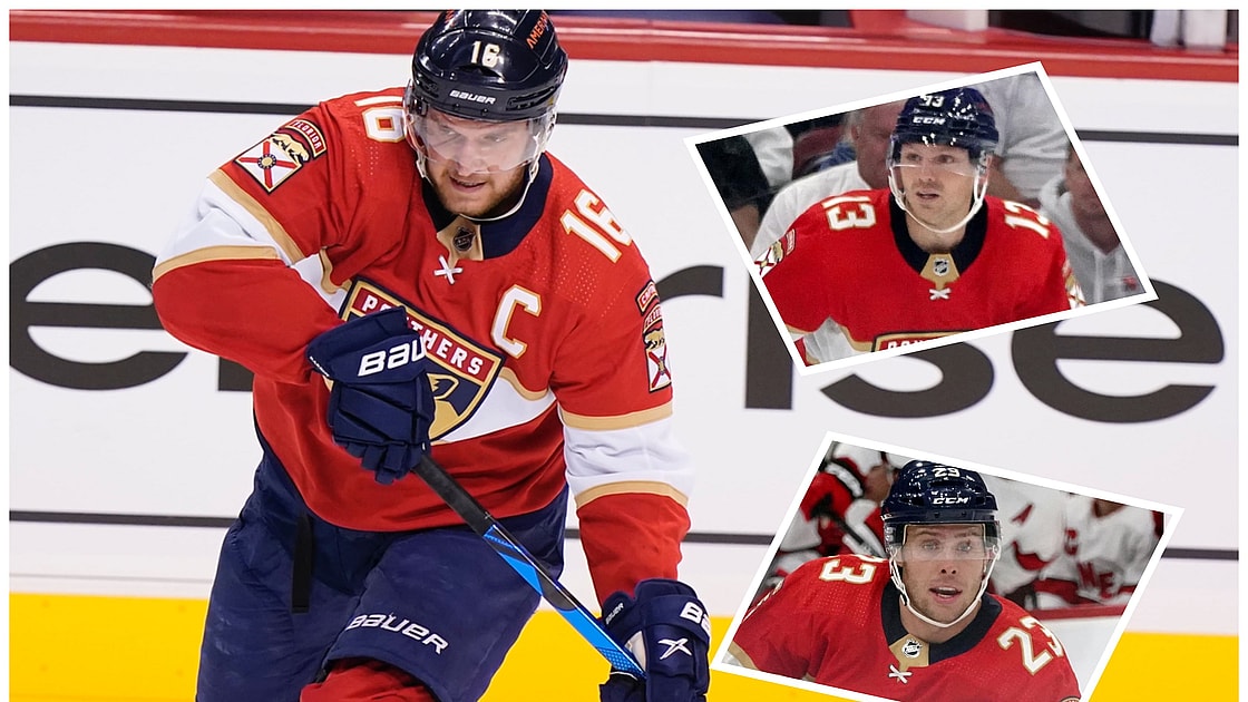 Florida panthers