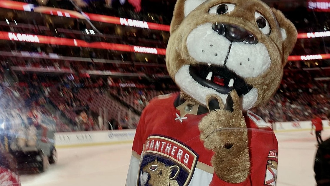 Florida panthers