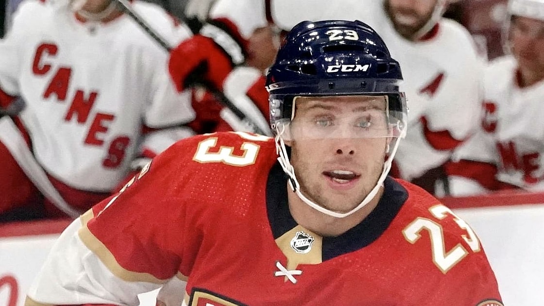 Fantasy hockey