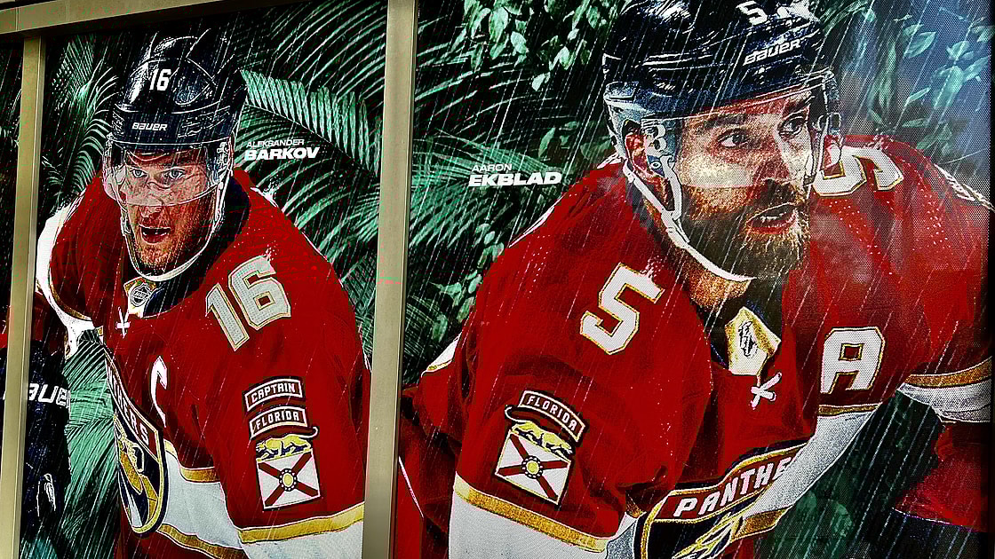 Florida panthers