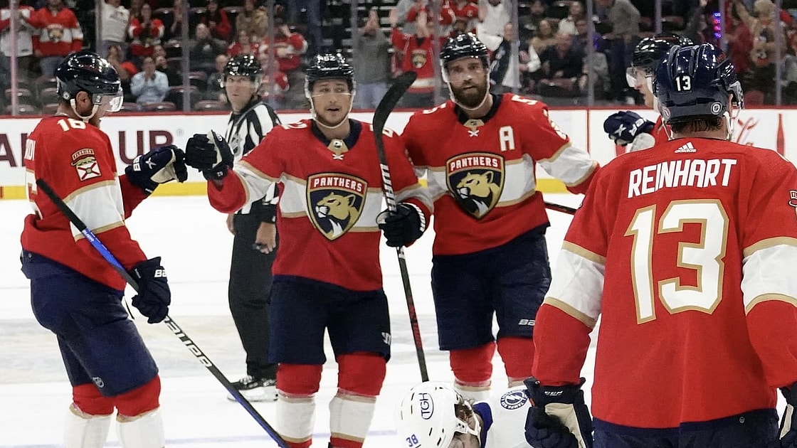 Florida panthers