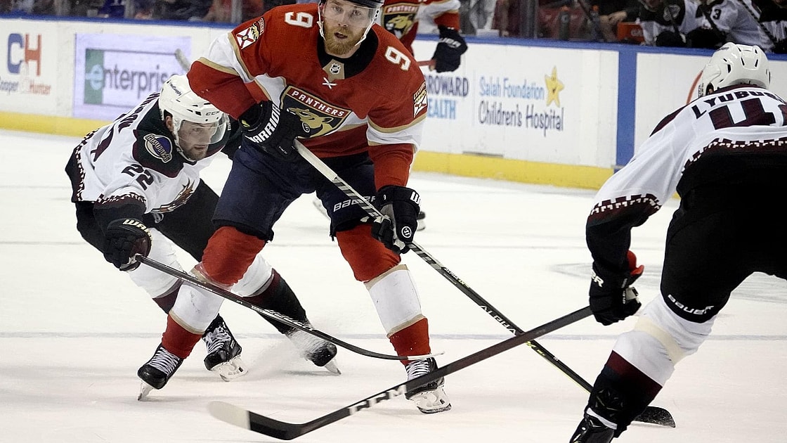 Florida panthers