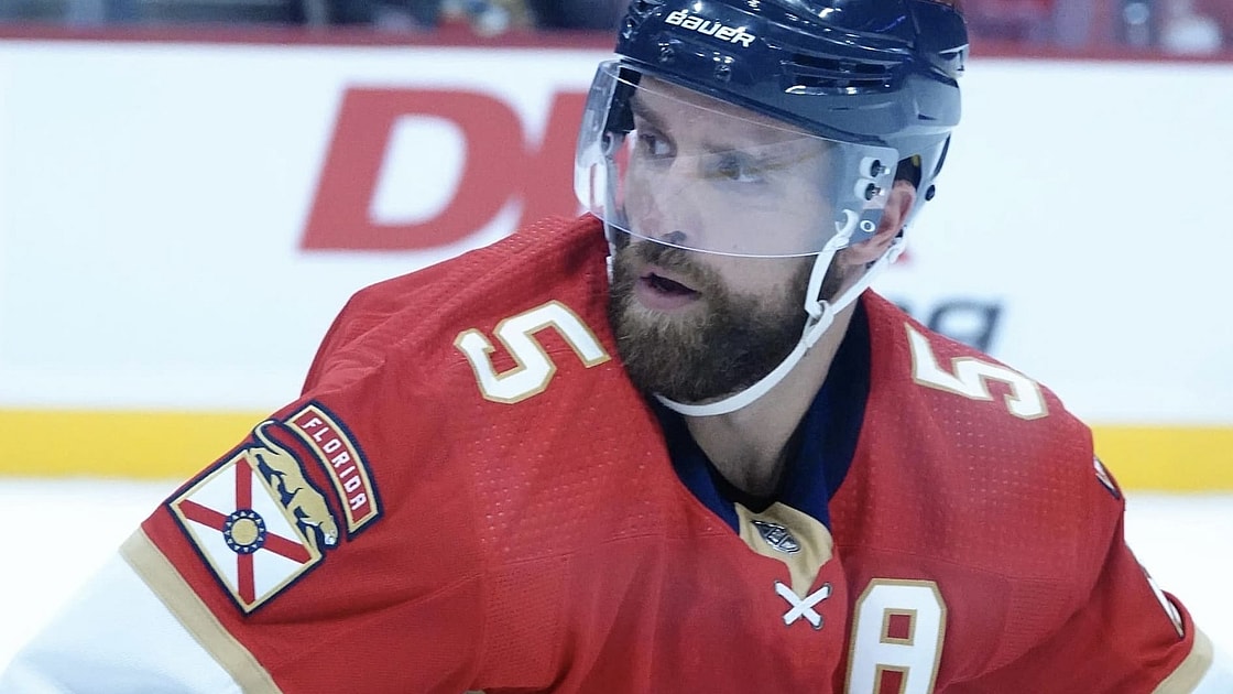 Florida panthers