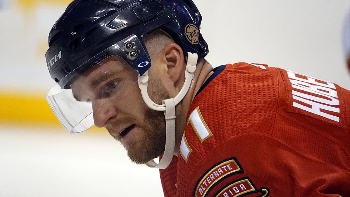 Florida panthers