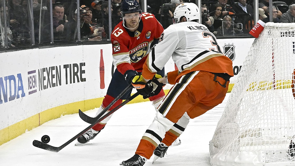 Florida panthers