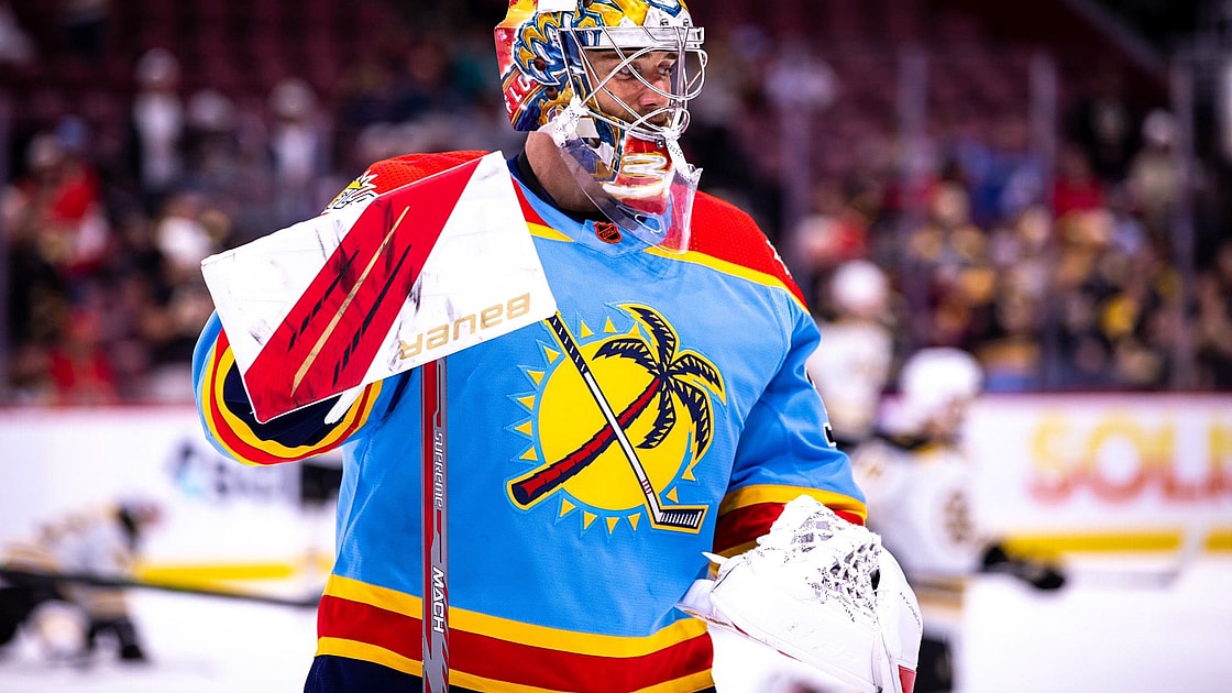 Florida panthers