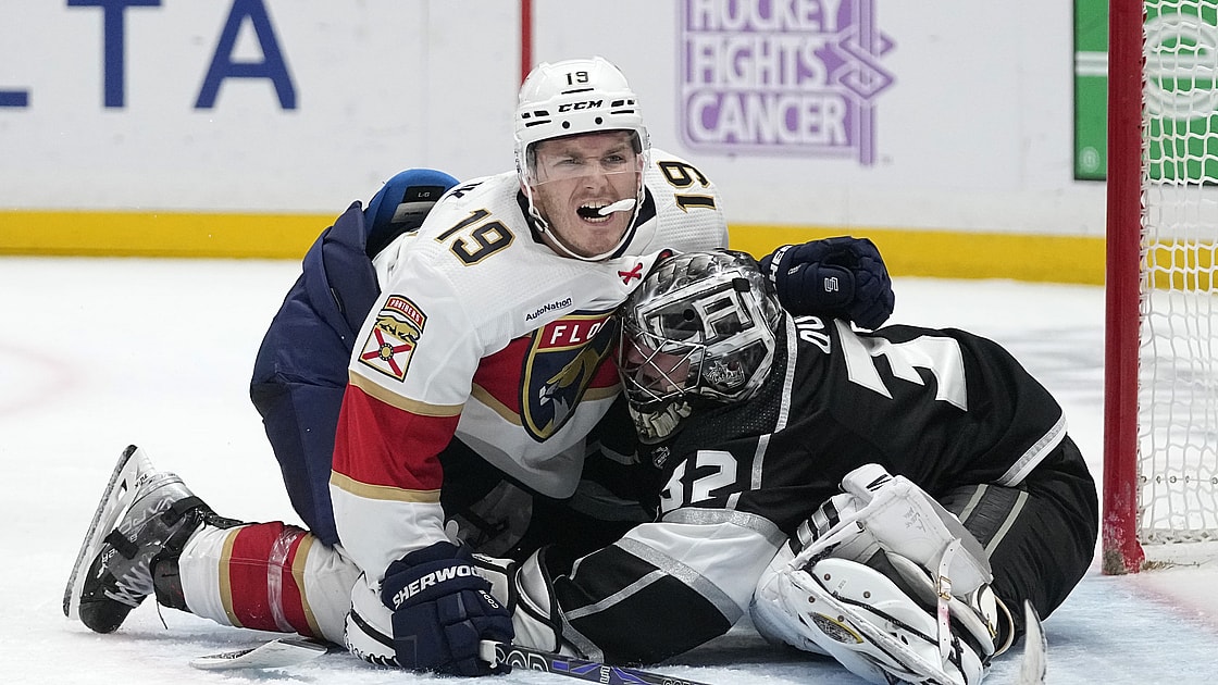 Florida panthers