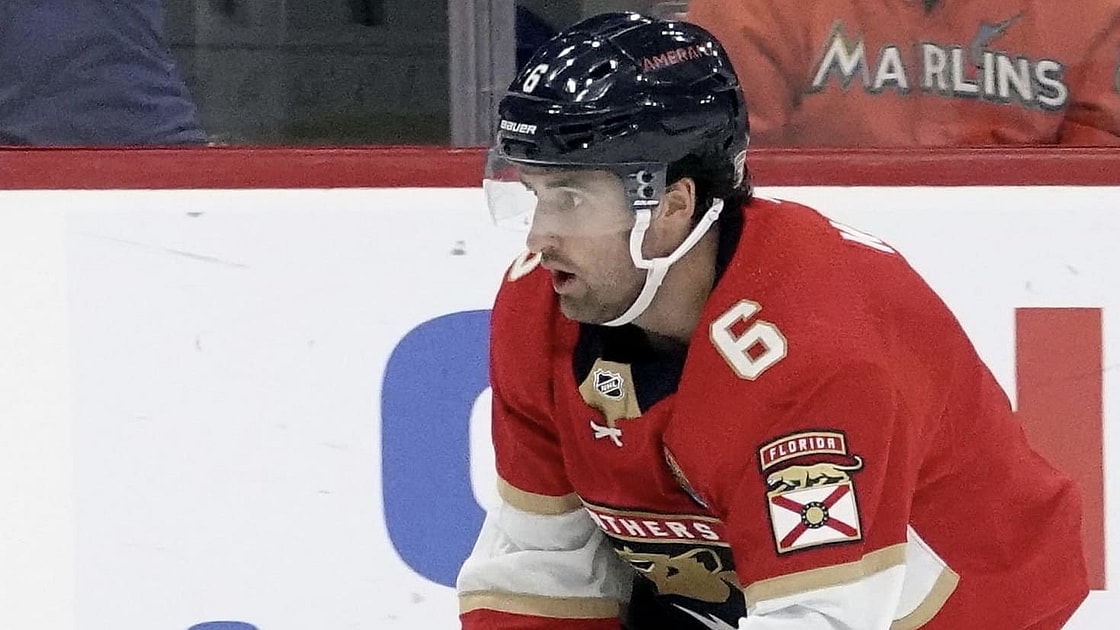 Florida panthers