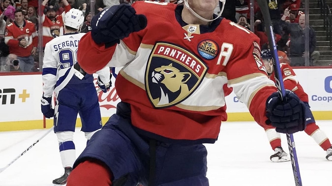 Florida panthers