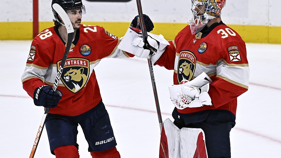 Florida panthers