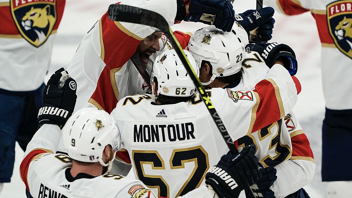 Florida panthers