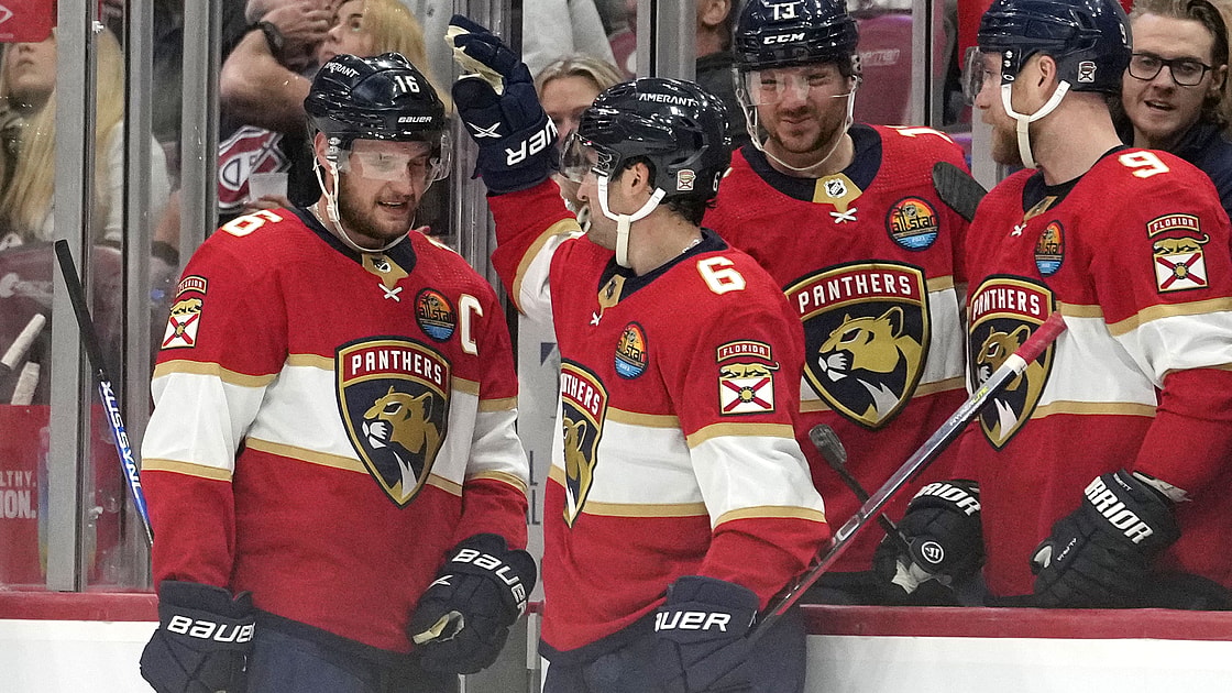 Florida panthers
