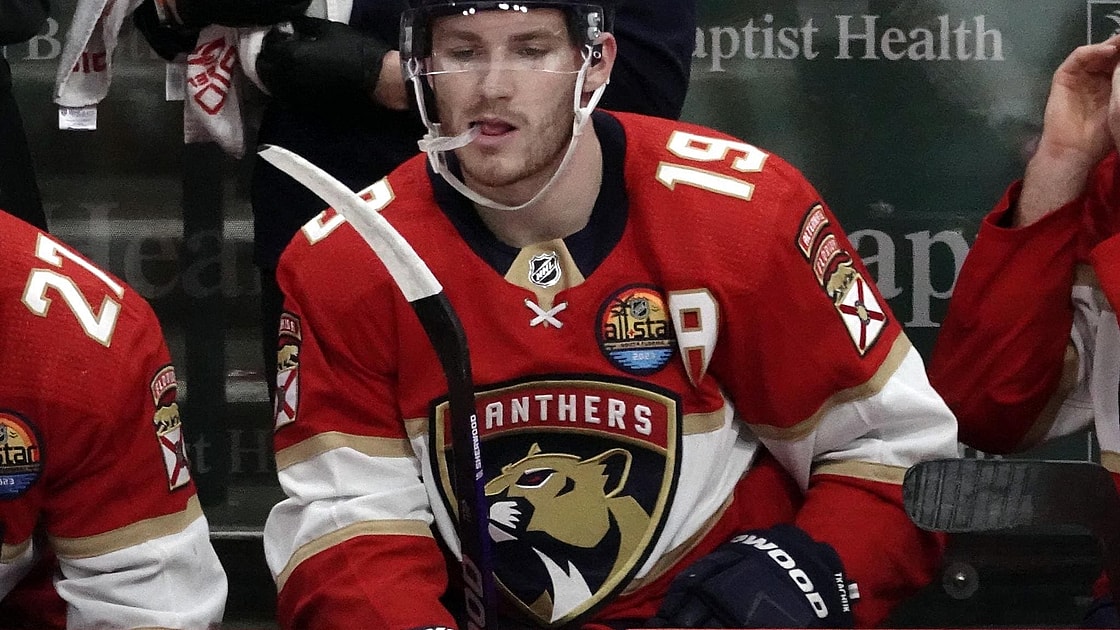 Florida panthers