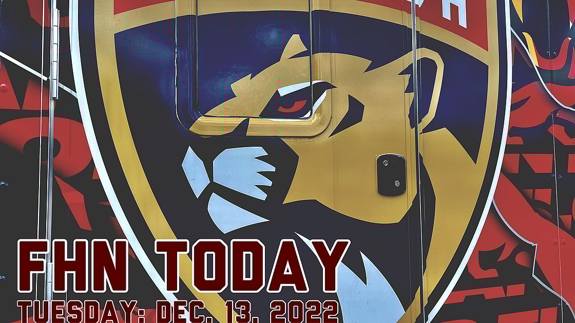 Florida panthers