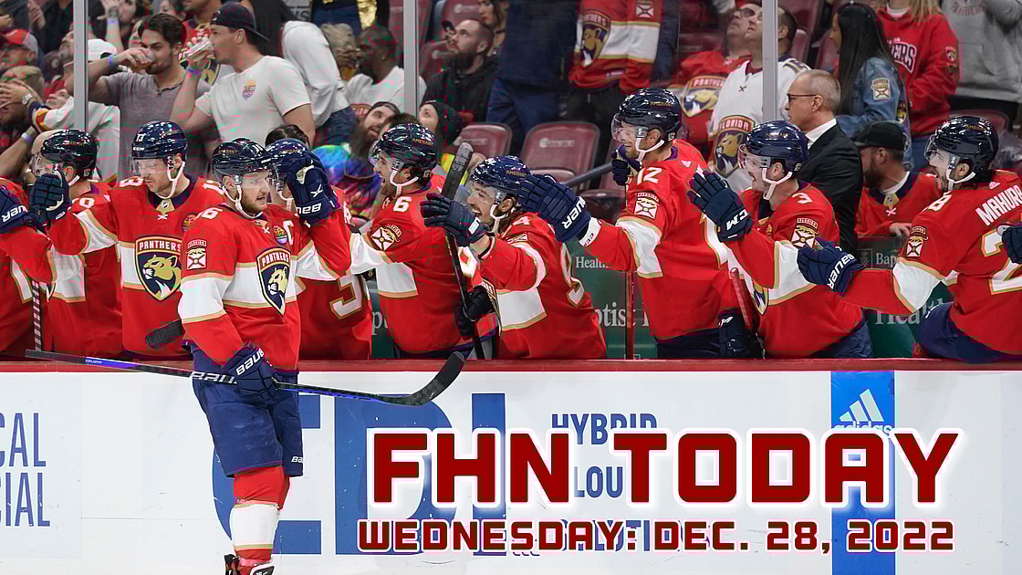 Florida panthers