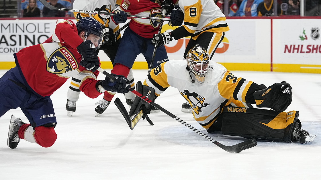 Florida panthers