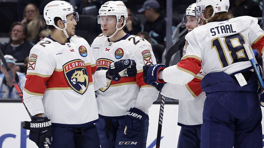 Florida panthers