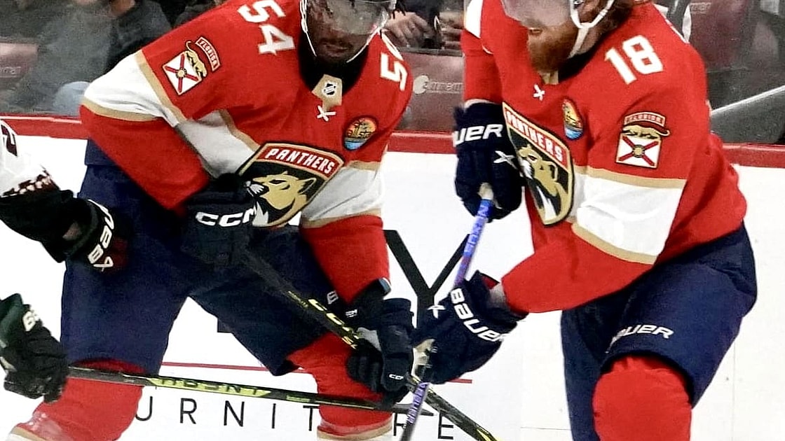 Florida panthers