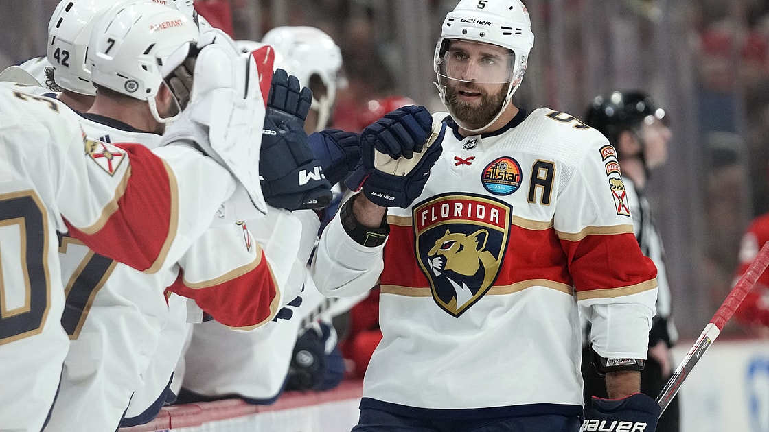 Florida panthers
