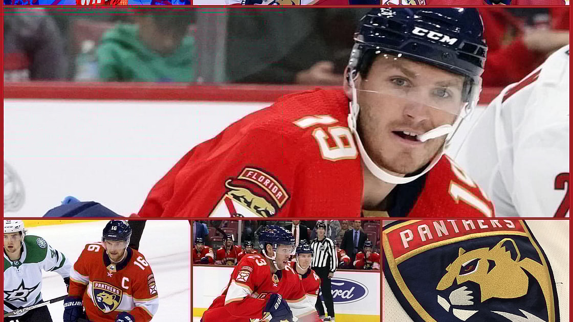 Florida panthers