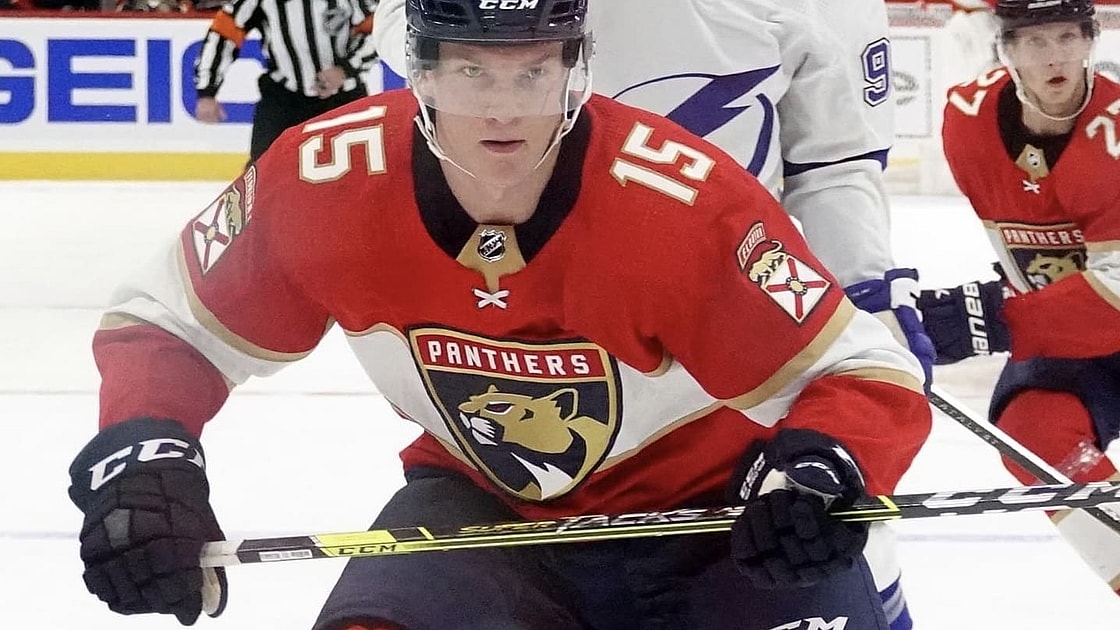 Florida panthers