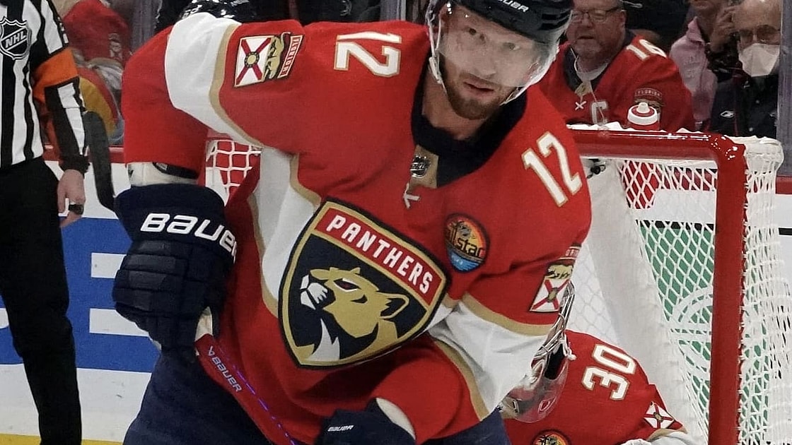 Florida panthers