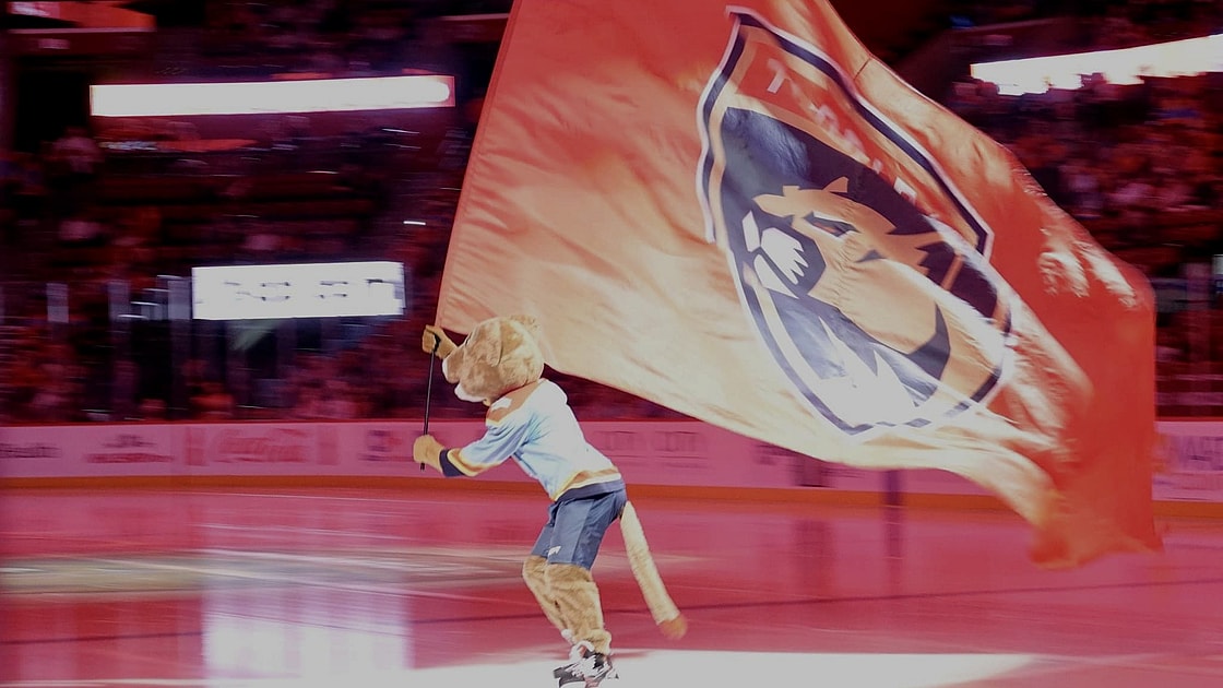Panthers rangers