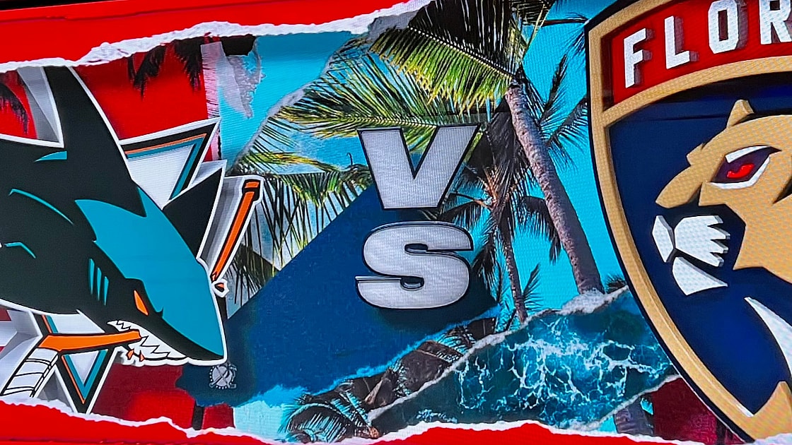Florida Panthers sharks