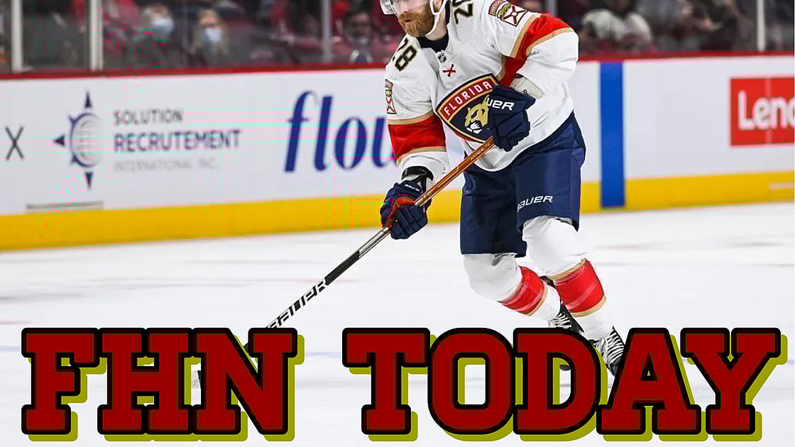 Florida panthers