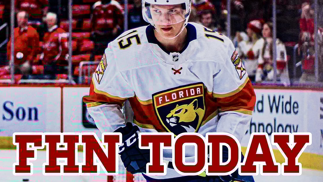 Florida panthers