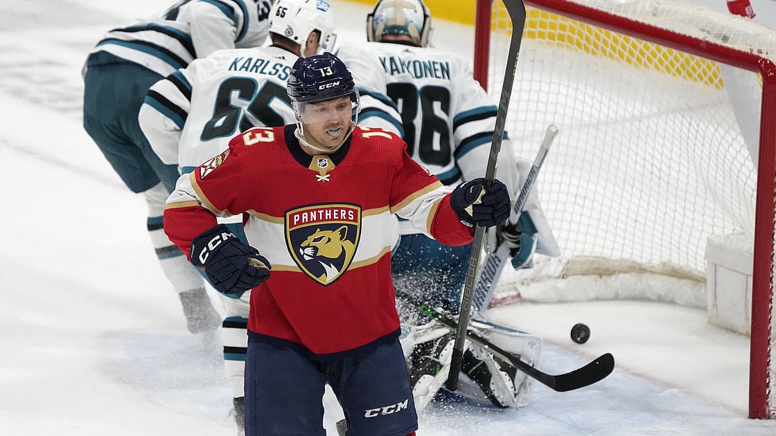 Florida panthers