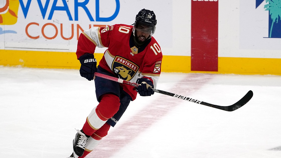 Anthony duclair panthers