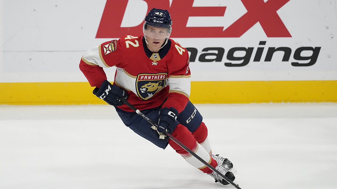 Florida panthers forsling