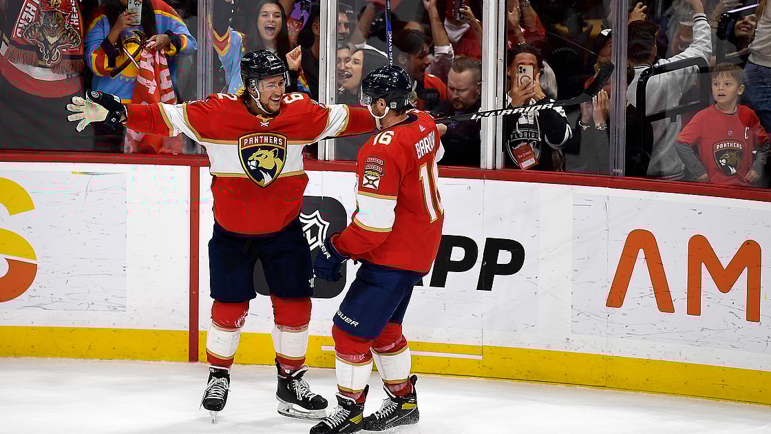 Florida panthers