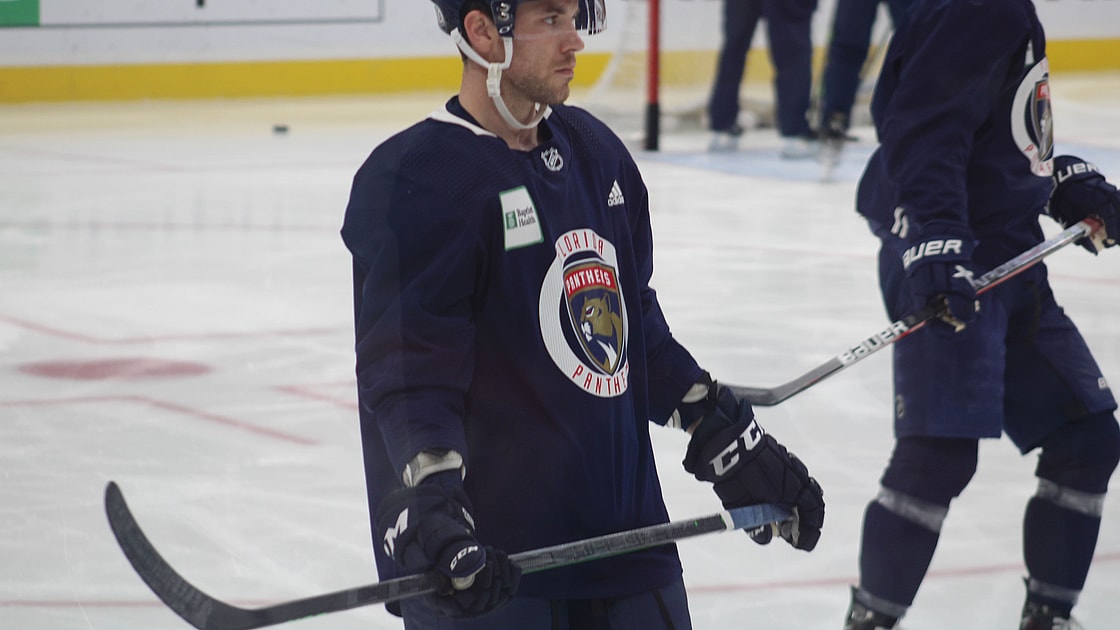 Panthers Predators