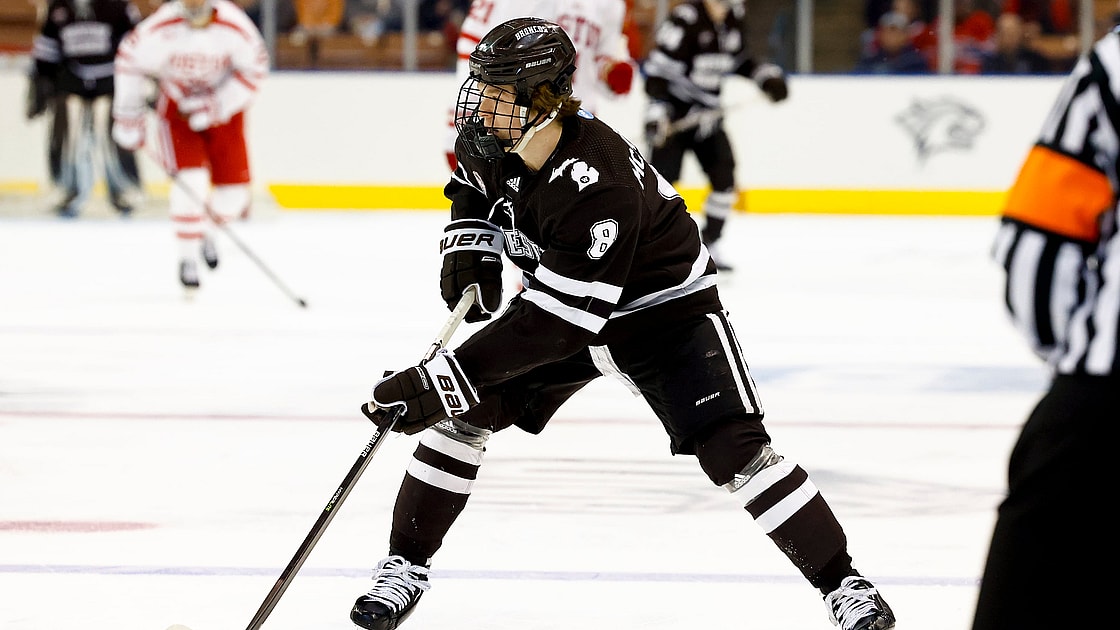Western michigan mcallister panthers