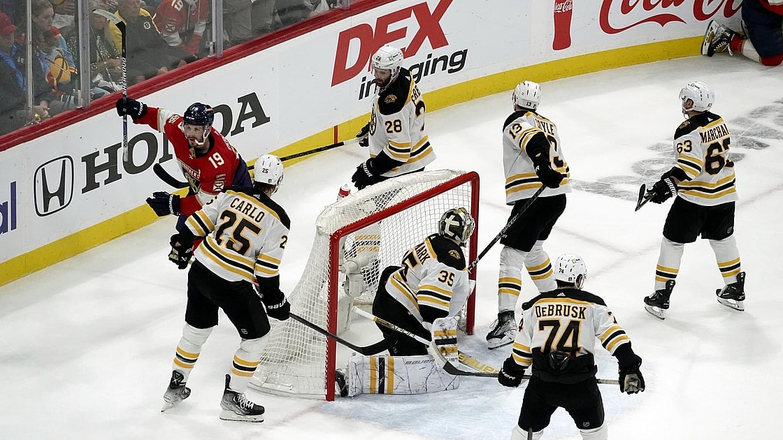 Florida panthers