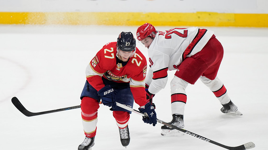 Panthers barkov