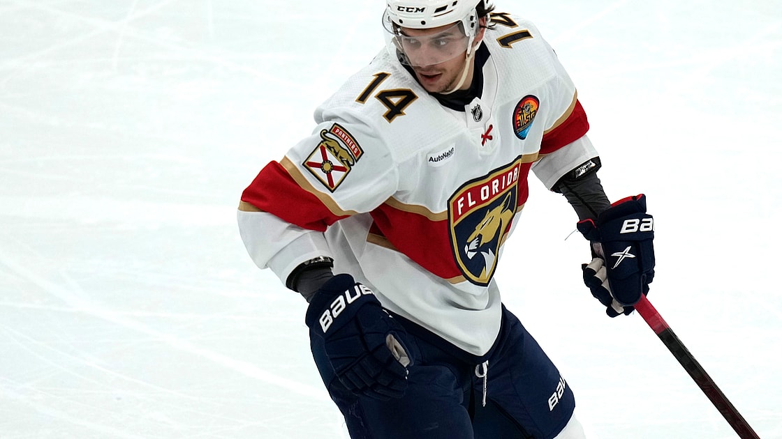 Florida panthers
