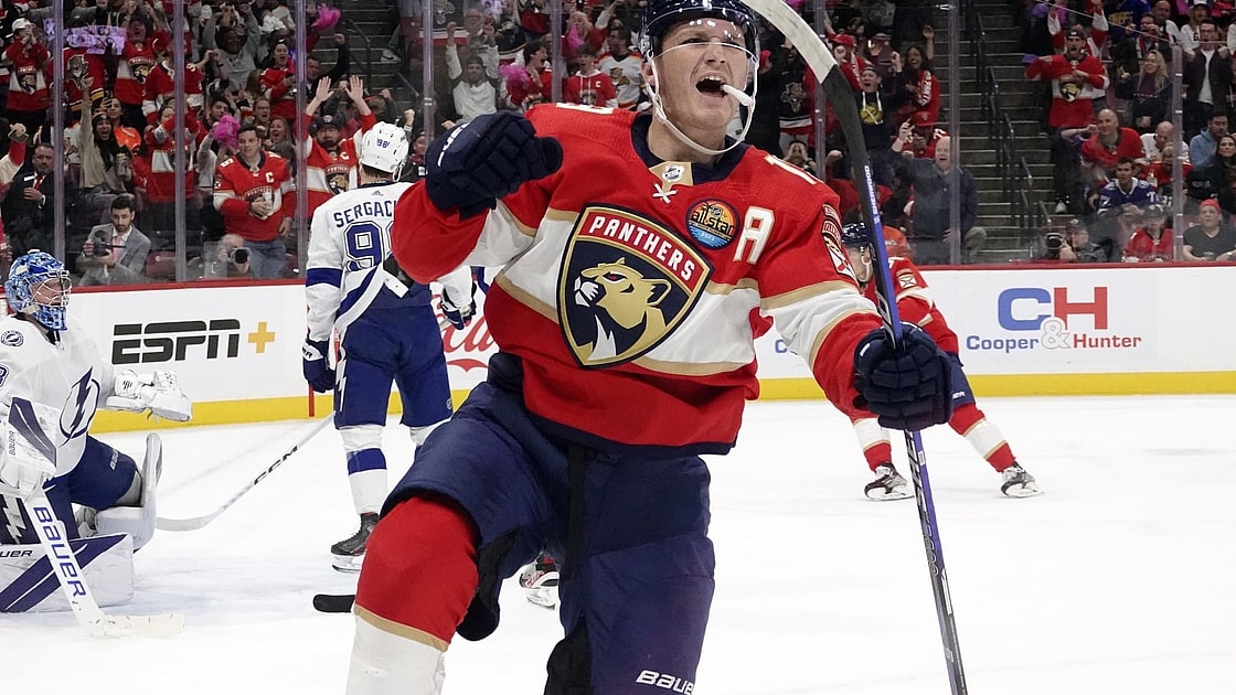 Florida panthers